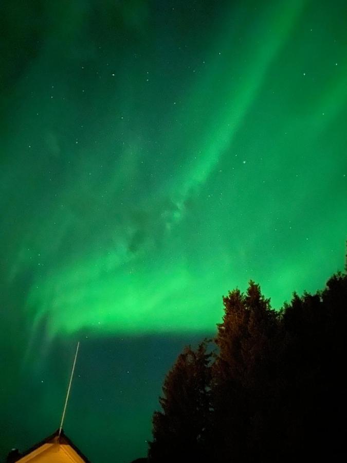 Lyngen, Mackay appartment, Lyngen Lyngseidet Buitenkant foto