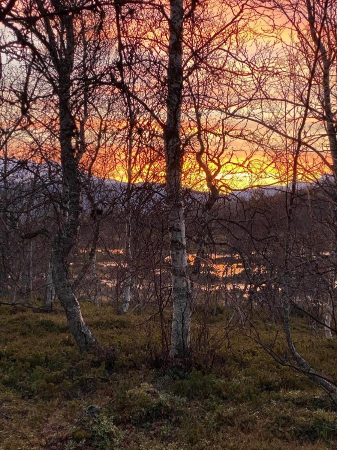 Lyngen, Mackay appartment, Lyngen Lyngseidet Buitenkant foto