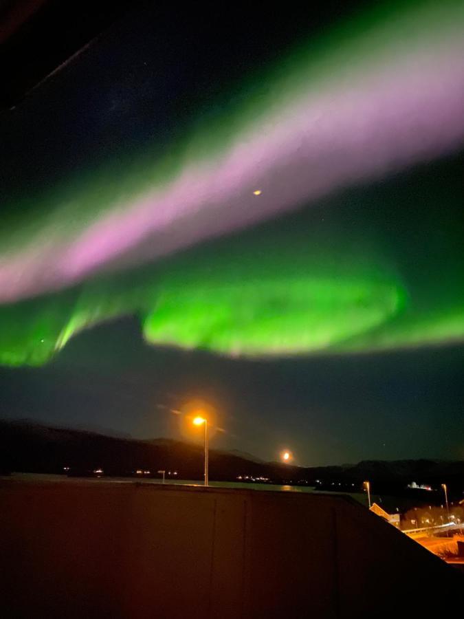 Lyngen, Mackay appartment, Lyngen Lyngseidet Buitenkant foto