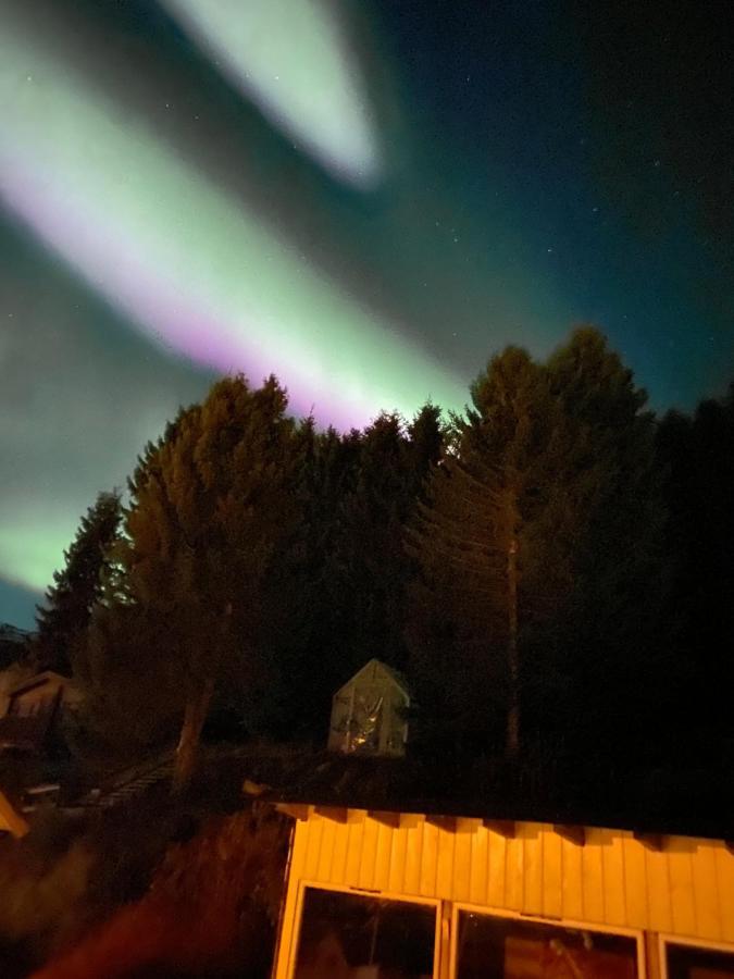 Lyngen, Mackay appartment, Lyngen Lyngseidet Buitenkant foto